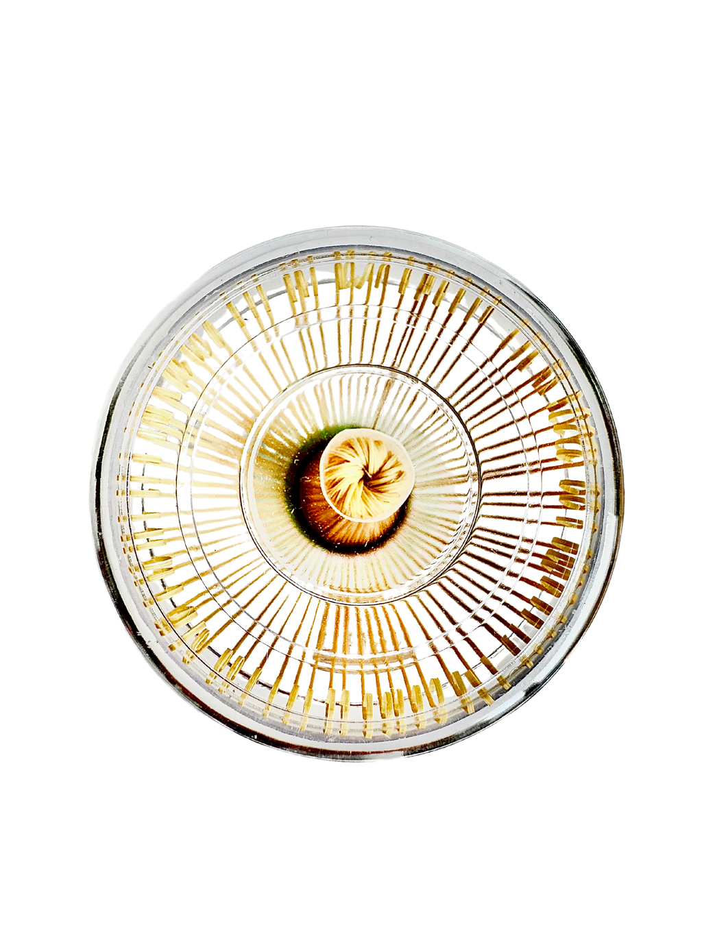 Japanese Matcha Whisk