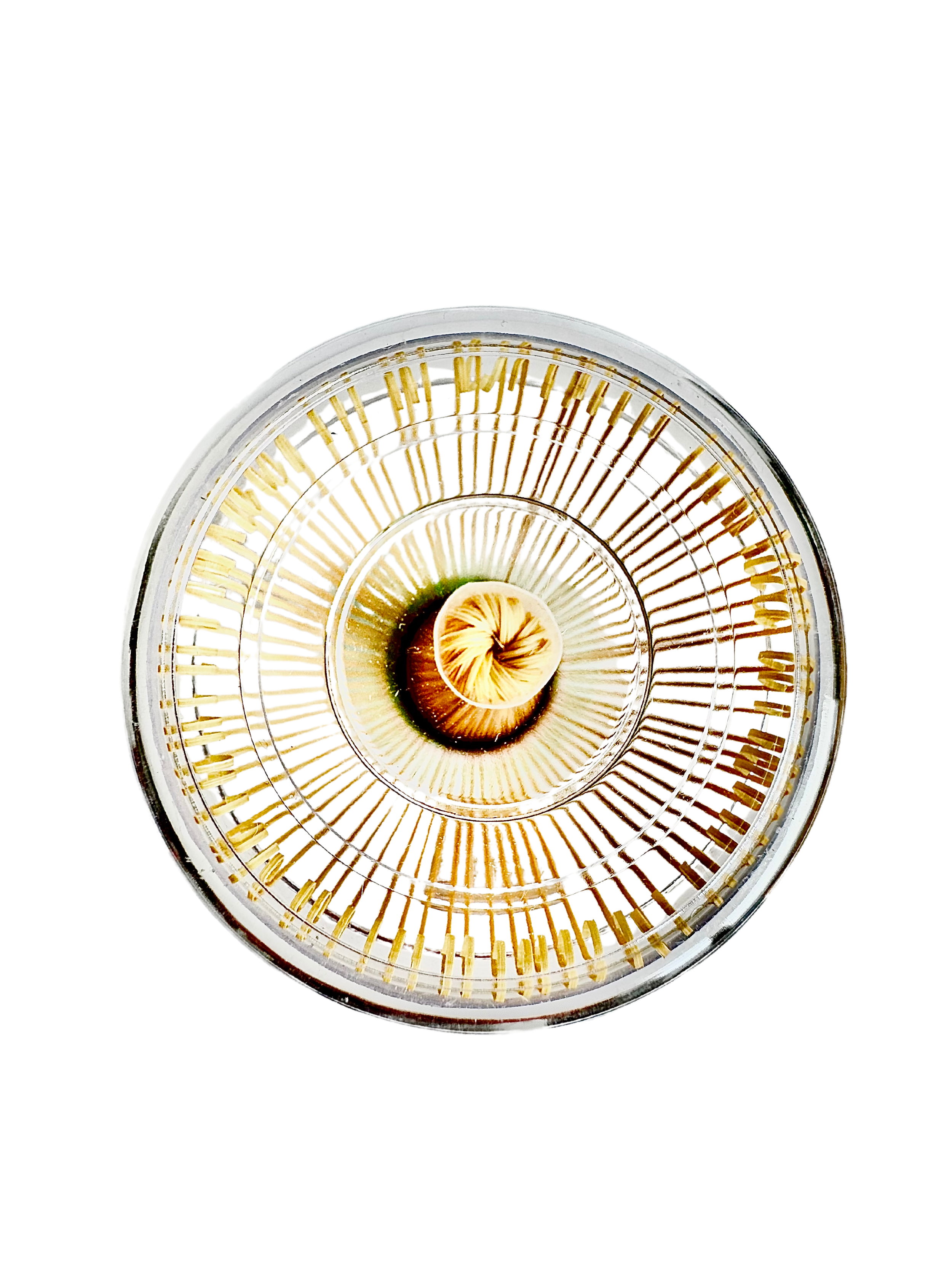 Japanese Matcha Whisk