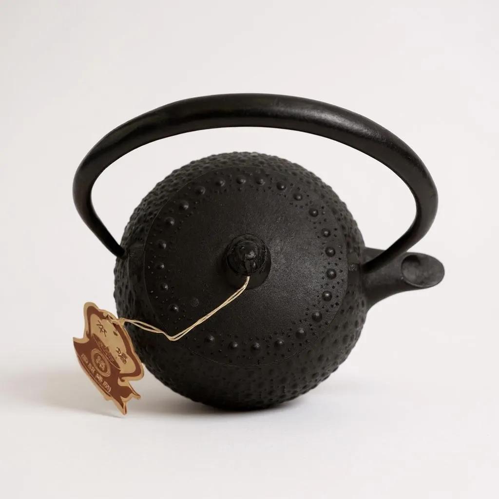 Nambu Tekki Teapot